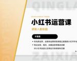 ，学会自己独立运营小红书账号许筐筺·小红书运营课，店铺运营等模块讲解，​笔记运营、规则、