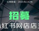 小白也可以轻松上手的无货源项目红商联盟·小红书无货源电商1.0，0粉丝无需囤货，