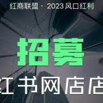 小白也可以轻松上手的无货源项目红商联盟·小红书无货源电商1.0，0粉丝无需囤货，