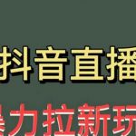 单场1000＋（详细玩法教程）【揭秘】最新直播暴力拉新玩法，