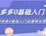 拼多多0基础入门拼多多运营0-1实操特训营，，从基础到进阶的可实操玩法