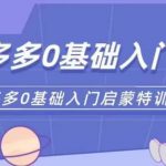 拼多多0基础入门拼多多运营0-1实操特训营，，从基础到进阶的可实操玩法