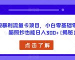 小白零基础零成本无脑照抄也能日入300+，正规暴利流量卡项目，【揭秘】