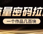 一个作品几百块，流量密码拉新项目，实操简单无脑操作
