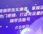 掌握流量密码，做热门视频，打造有流量的短视频带货账号热门短视频带货实操课，