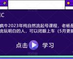 久久疯牛2023年纯自然流起号课程，玩转自然流量的人