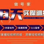 快速掌握短视频领域，洞察短视频新玩法做号家内容创作实操运营课，