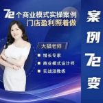 大猫老师七十二个商业变现实例七十二计实体门店模仿照做就可以