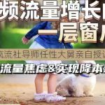 任性大舅·宠物生意短视频运营秘课，短视频流量暴增，一点就透，流量不在烦恼，实现增本增效