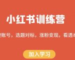 小红书小班教学，搭建账号，选题对标，涨粉变现，看透本质