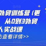 AI闪电做外贸训练营(更新25年2月)，从0到3外贸万人实战课