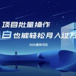 25年最新项目批量操作，小白也能轻松月入过W，可无限放大【揭秘】