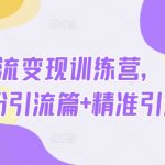 热点引流变现训练营，先导篇+泛粉引流篇+精准引流篇