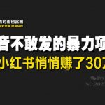 抖音不敢发的暴利项目，在小红书悄悄挣了30W
