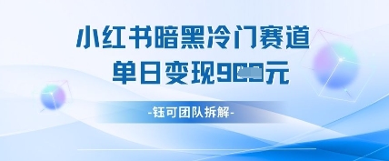 小红书冷门&#8221;暗黑&#8221;赛道，单日收益多张