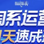 淘系运营21天速成班(更新25年6月)，0基础轻松搞定淘系运营，不做假把式
