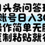 今日头条问答玩法，单账号日入30+，操作简单无脑复制粘贴就行