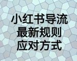 全新上线首码0撸挂G项目，24小时全自动运行，，无需实名无需看广告，小白轻松日入三位数【揭秘】