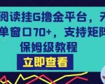 最新阅读挂G撸金平台，无风控，单窗口70+，支持矩阵，保姆级教程【揭秘】