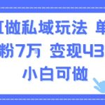 用AI做私域玩法，单条视频涨粉7W变现4.3k，小白可做