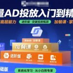 巨量AD投放入门到精通，基础版+进阶版+加餐课