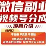 微信副业视频号分成，不直播 不卖货 不露脸，三五分钟即可完成一条作，每日收益几十、几张不等