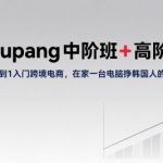 Coupang中阶班+高阶班，0到1入门跨境电商，在家一台电脑挣韩国人的钱