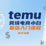 temu跨境电商小白基础入门课程，新手必看
