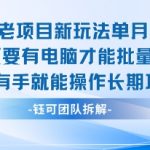 老项目新玩法单月收入2W小白有手就能操作长期项目