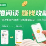 零撸阅读新风口，无门槛轻松挣，一部手机，日入 50-3张【揭秘】