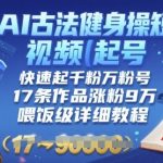 AI古法健身操短视频起号，快速起千粉万粉号，17条作品涨粉9W(喂饭级详细教程)