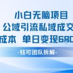 小白无脑项目公域引流私域成交0成本单日变现680米