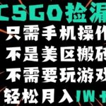 CSGO自动捡漏项目，最新独家玩法，不是美区搬砖，不需要了解和玩游戏，新手小白轻松月入1W+【揭秘】