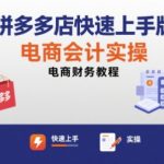 拼多多店快速上手版电商会计实操-电商财务教程