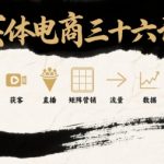 实体电商三十六计，短视频-获客-直播-矩阵营销-流量-数据-选品