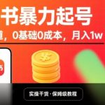 小红书暴力起号，小众赛道，0基础0成本，月入1w