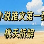 小说推文项目操作全流程第一弹，0粉就能做，门槛低非常适合新手