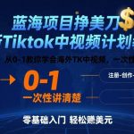 蓝海项目挣美刀，最新Tiktok中视频计划教学，从0-1教你学会海外TK中视频，一次性讲清楚