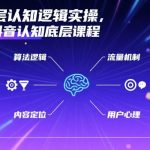 抖音底层认知逻辑实操，零基础抖音认知底层课程