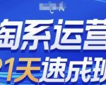 淘系运营21天速成班(更新25年7月)，0基础轻松搞定淘系运营，不做假把式