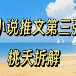 小说推文项目操作全流程第三弹，0粉就能做，门槛低非常适合新手