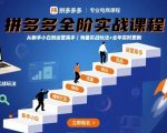 拼多多全阶实战课程，从新手小白到运营高手，海量实战玩法+全年实时更新【2025年9月更新】
