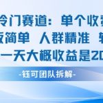 私域冷门赛道单个收费198米引流模板简单人群精准 45%的转化率单人一天大概收益多张