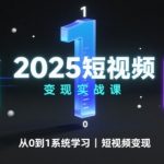 2025短视频变现实战课，从0到1系统学习短视频变现