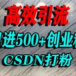 怎么打创业粉？CSDN又一个你不知道的打粉引流神秘平台，单人日引500+精准流量