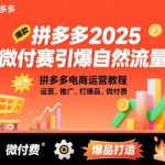 拼多多2025微付赛引爆自然流量，拼多多电商运营教程，运营、推广、打爆品、微付费