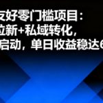 新手友好零门槛项目：公域拉新+私域转化，0成本启动，单日收益稳达6张