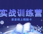 多多实战训练营，从0到1打造一个真正賺钱的店铺