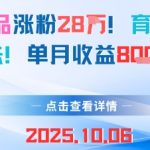 18条作品涨粉28W，育儿赛道新玩法，单月收益8k