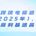 亚马逊跨境电商选品案例(更新2025年10月)，跨境电商利基选品